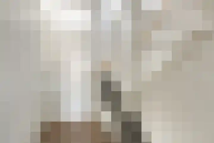 Maria Theresiadreef 15 Utrecht thumbnail 30