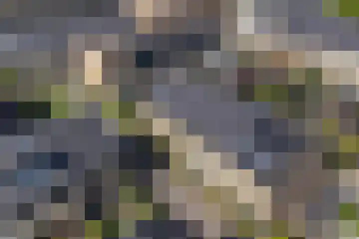 Maria Theresiadreef 15 Utrecht thumbnail 49