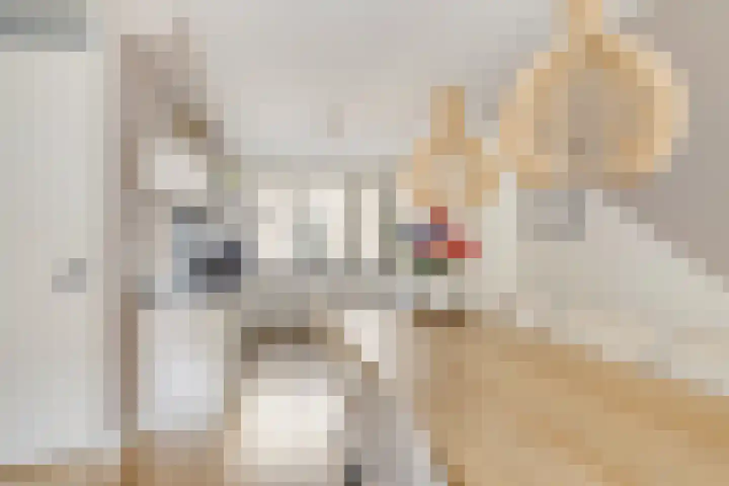 Maria Theresiadreef 25 Utrecht thumbnail 15