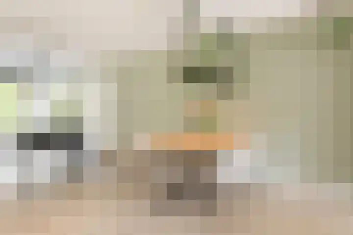 Maria Theresiadreef 29 Utrecht thumbnail 12
