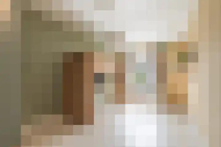 Maria Theresiadreef 29 Utrecht thumbnail 17