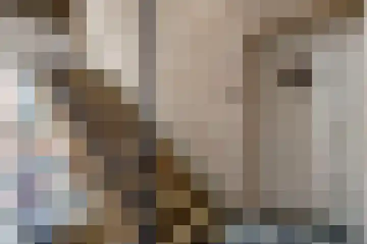 Maria Theresialaan 75 Roermond thumbnail 6