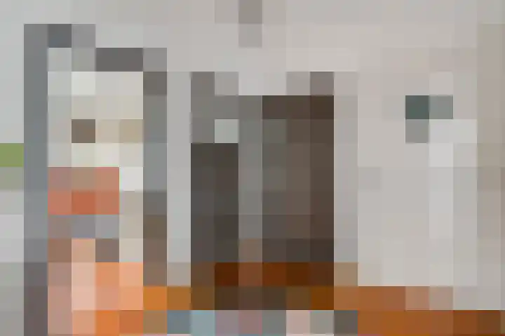 Maria Theresialaan 75 Roermond thumbnail 8