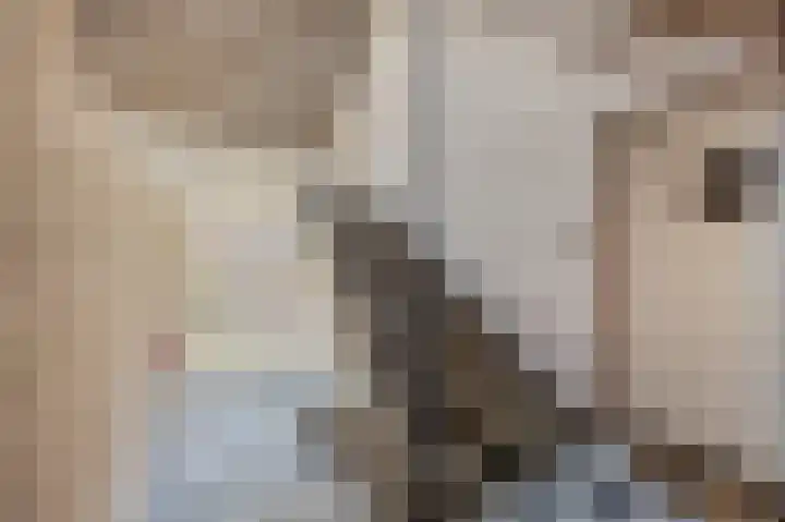 Maria Theresialaan 81 Roermond thumbnail 34