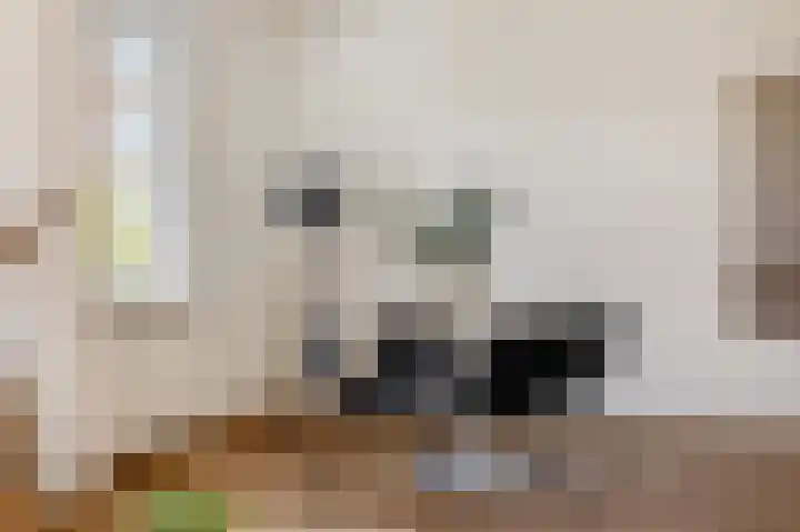 Maria Theresialaan 81 Roermond thumbnail 8