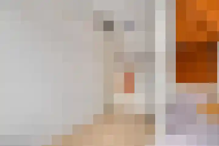 Maria Theresiastraat 13 Swalmen thumbnail 17