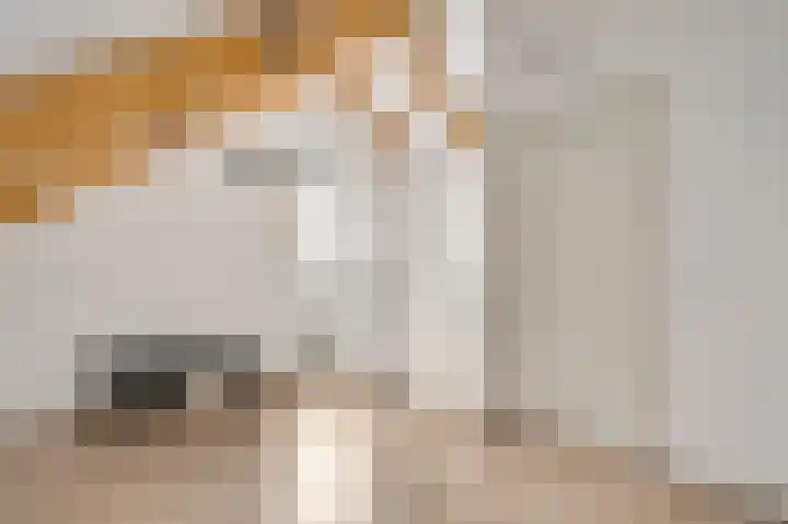 Maria Theresiastraat 13 Swalmen thumbnail 24