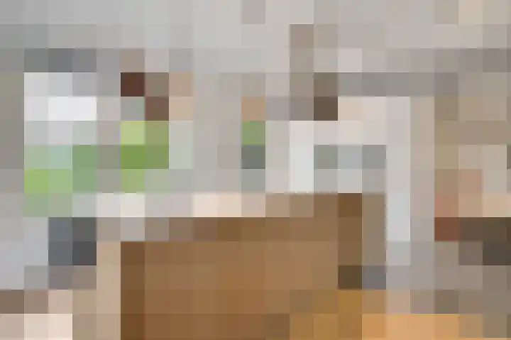 Maria Theresiastraat 13 Swalmen thumbnail 4