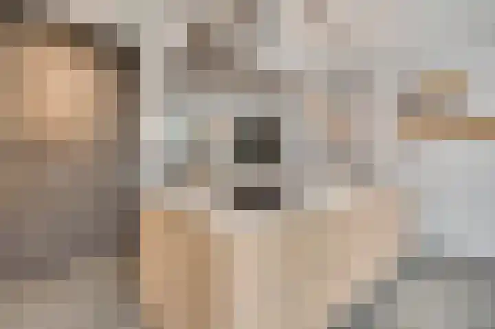 Maria Theresiastraat 13 Swalmen thumbnail 6