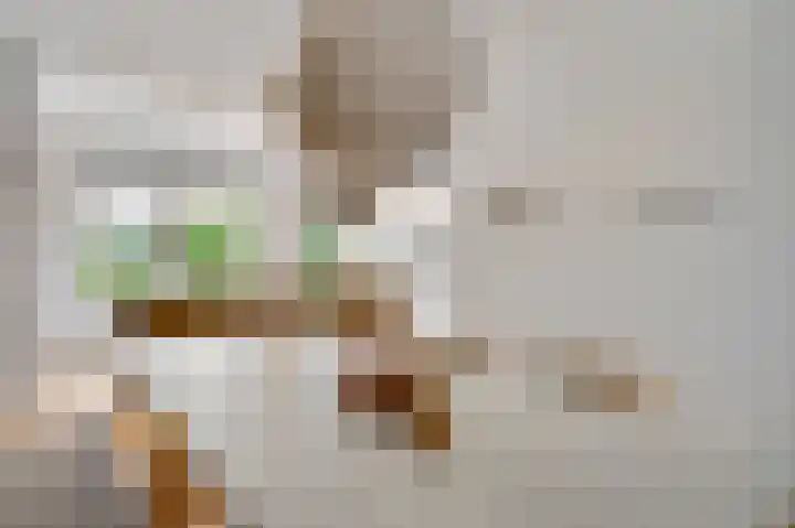 Maria Theresiastraat 13 Swalmen thumbnail 7