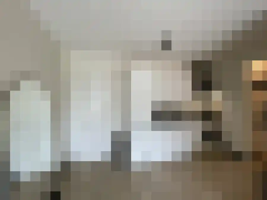 Maria Tudorhof 12 Hoofddorp thumbnail 6