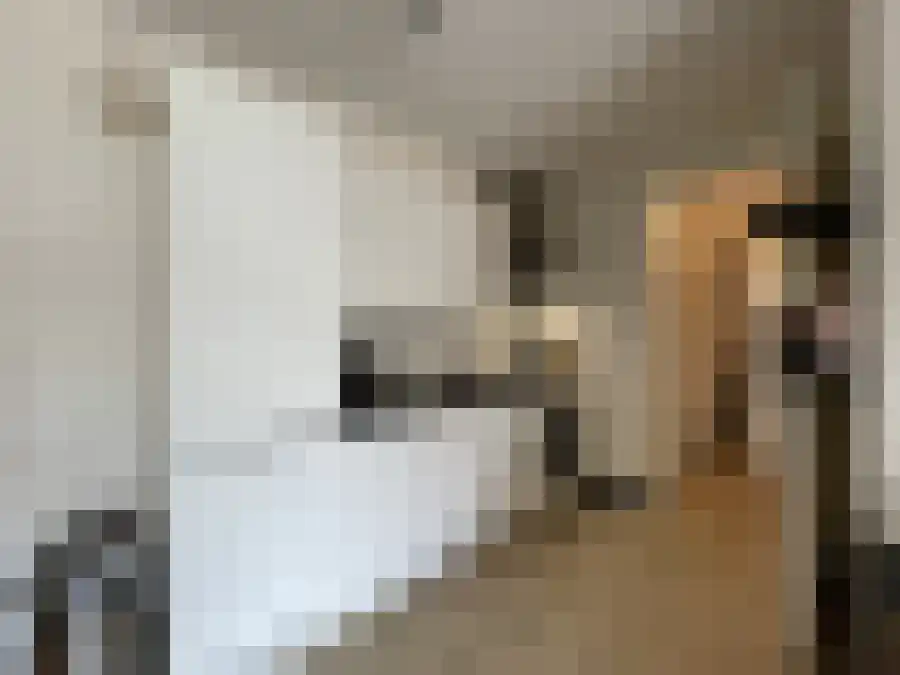 Maria Tudorhof 12 Hoofddorp thumbnail 7