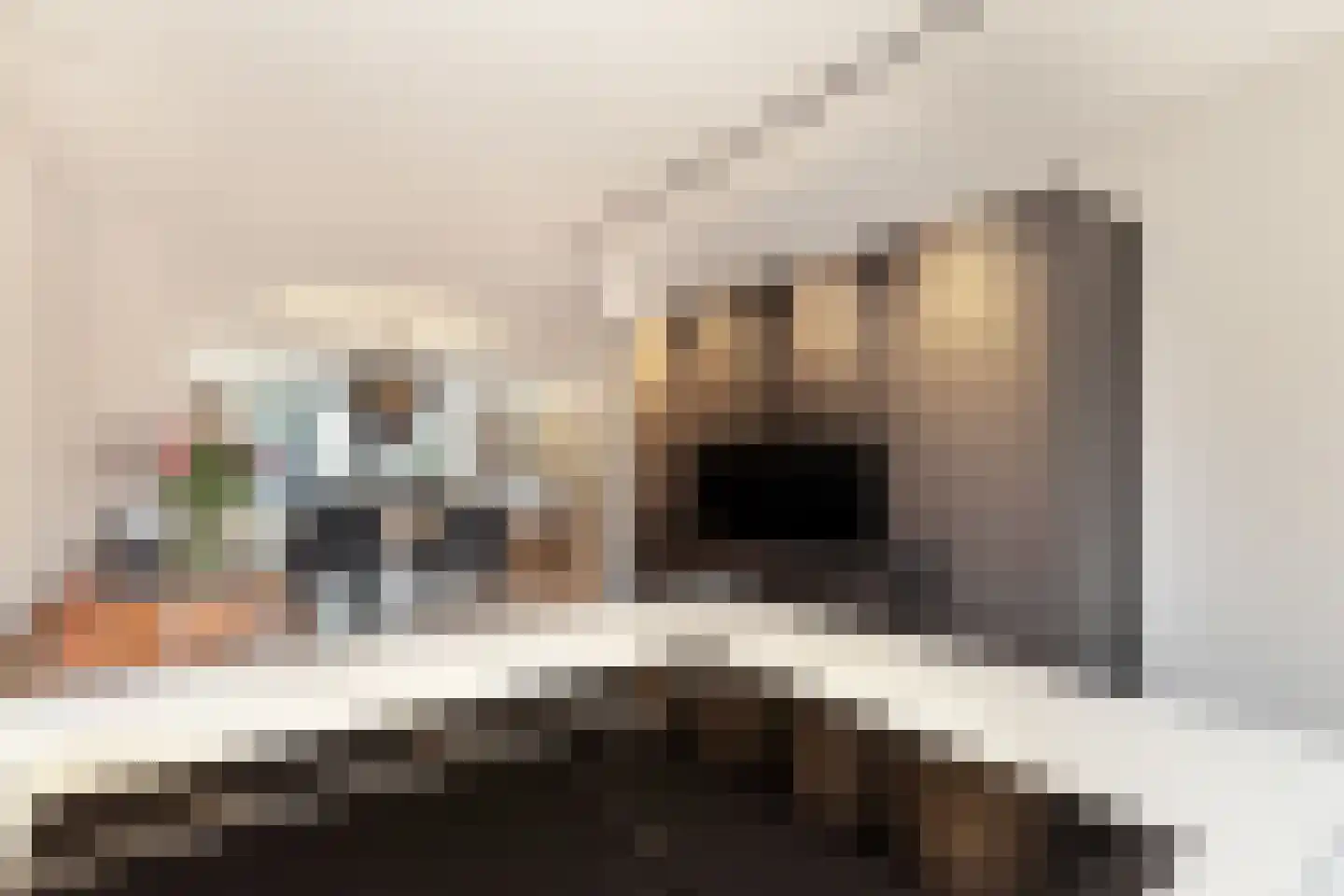Maria Tudorhof 8 Hoofddorp thumbnail 12