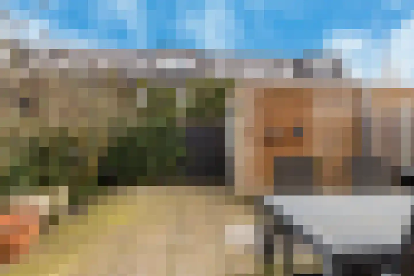 Maria Tudorhof 8 Hoofddorp thumbnail 22