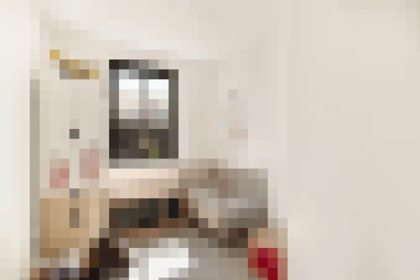 Maria Tudorhof 8 Hoofddorp thumbnail 32