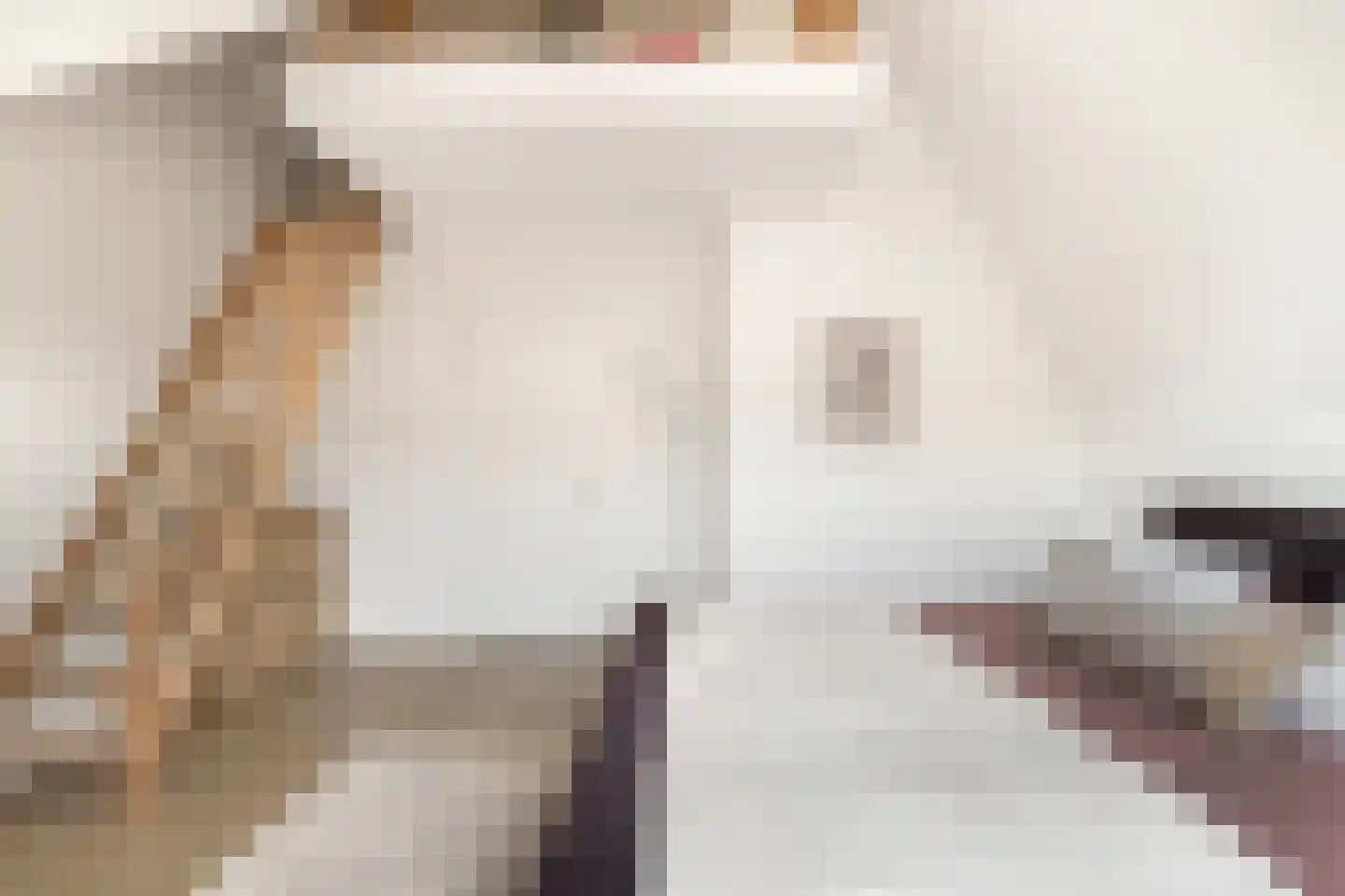 Maria Tudorhof 8 Hoofddorp thumbnail 37