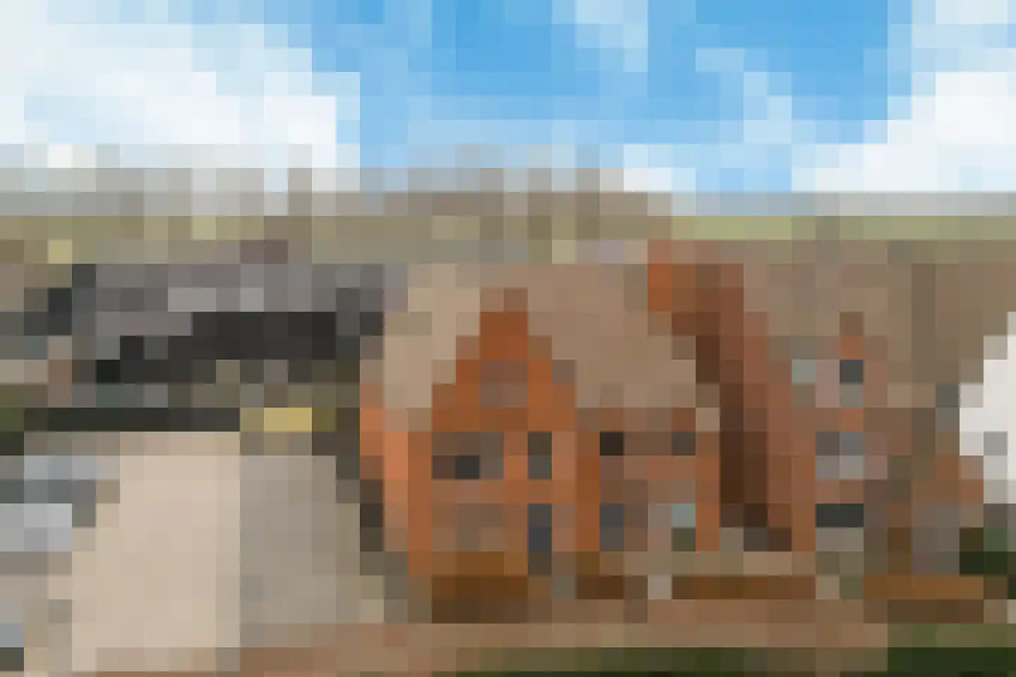 Maria Tudorhof 8 Hoofddorp thumbnail 45