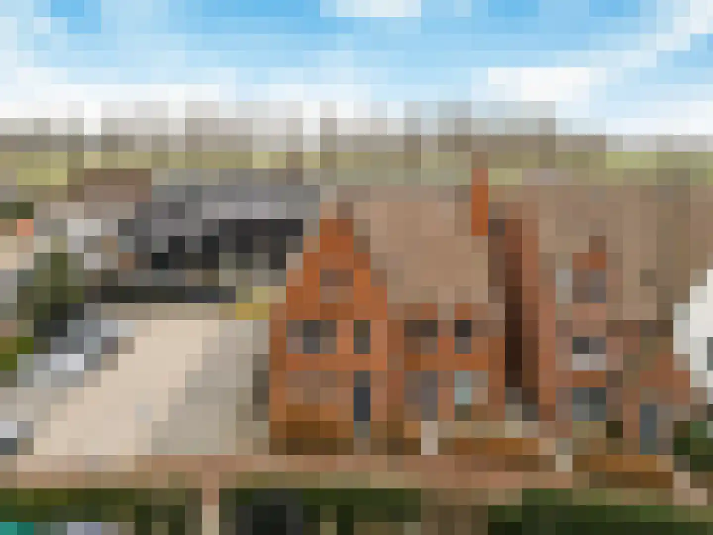 Maria Tudorhof 8 Hoofddorp thumbnail 46