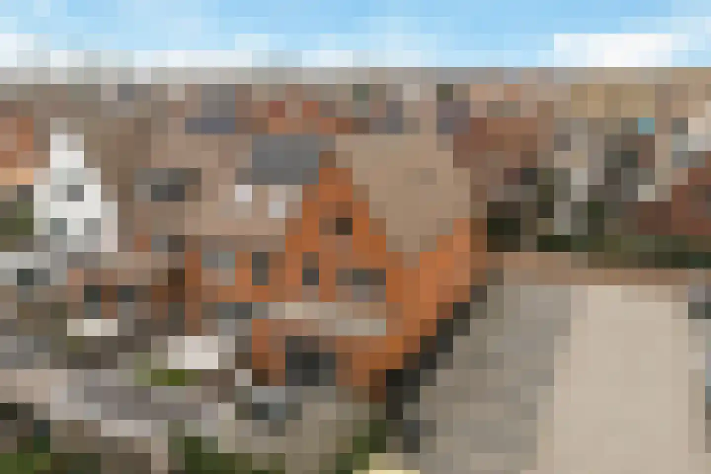 Maria Tudorhof 8 Hoofddorp thumbnail 5