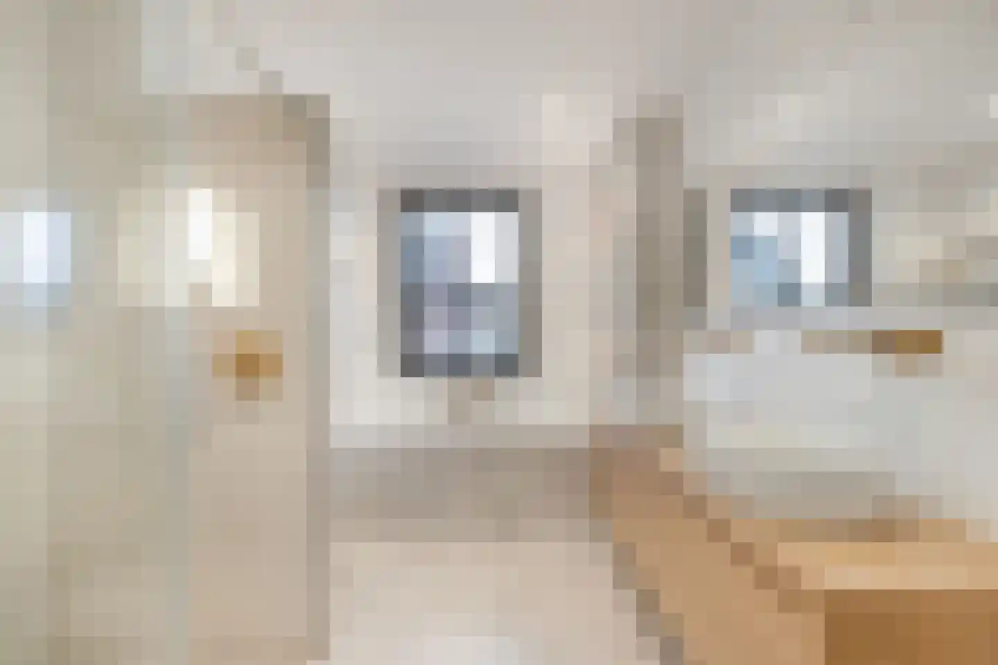 Maria Tudorhof 8 Hoofddorp thumbnail 6