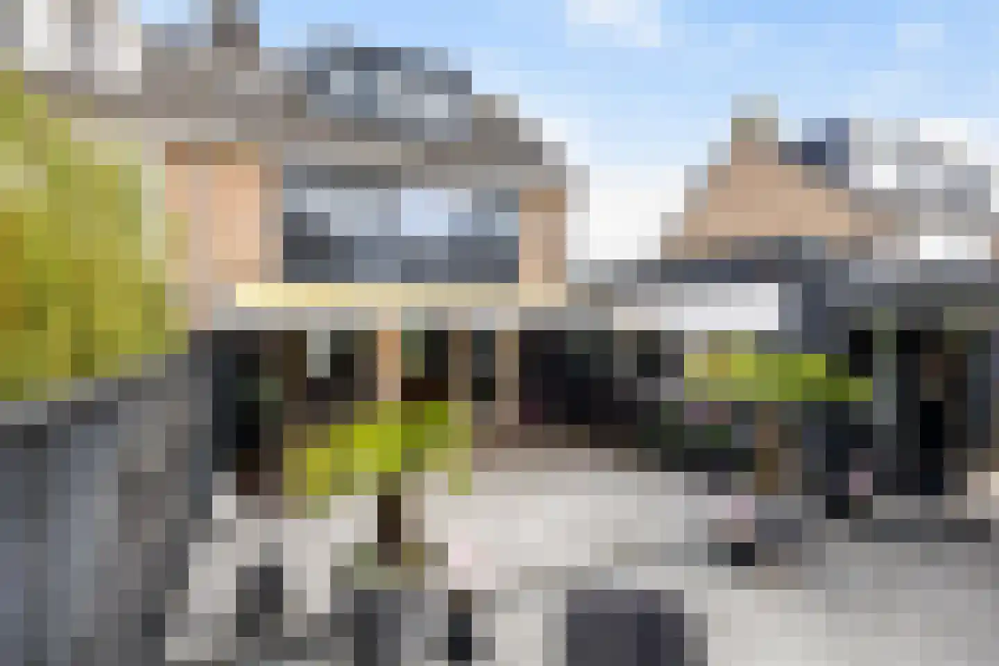 Maria van Boechoutlaan 39 Odijk thumbnail 24