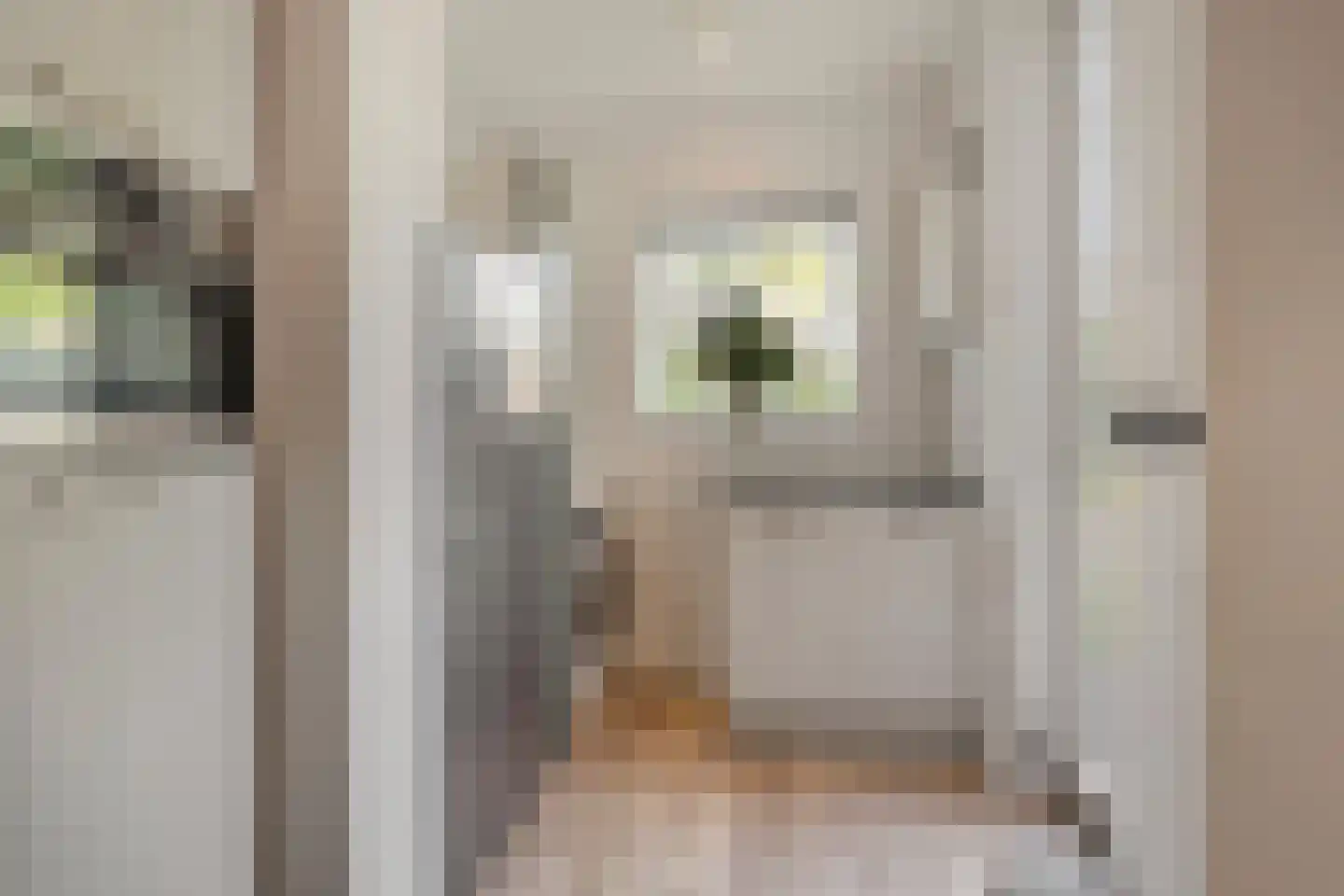 Maria van Bourgondiëlaan 7 Waalre thumbnail 25
