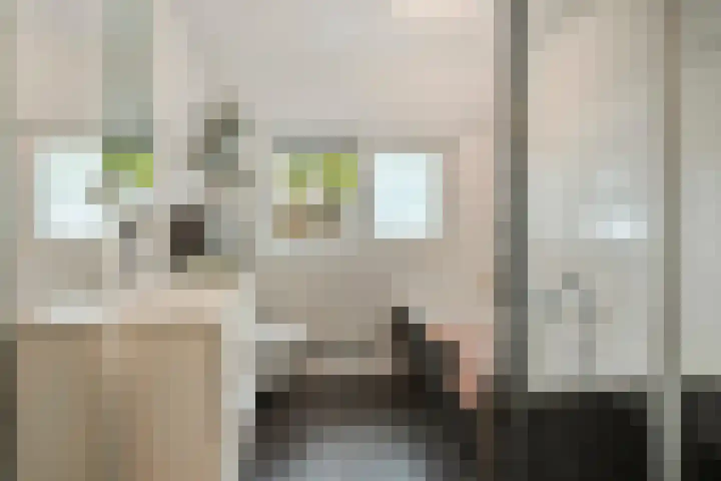 Maria van Bourgondiëlaan 7 Waalre thumbnail 31