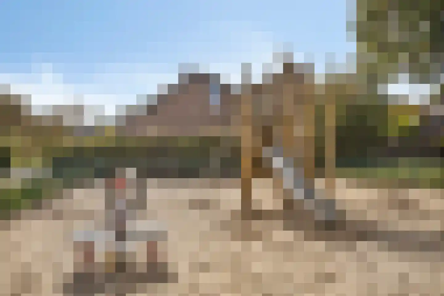 Maria van Bourgondiëlaan 7 Waalre thumbnail 49