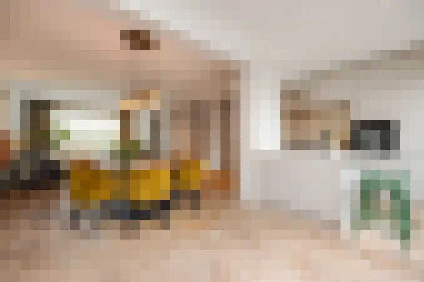 Maria van Bourgondiësingel 20 's-Hertogenbosch thumbnail 10