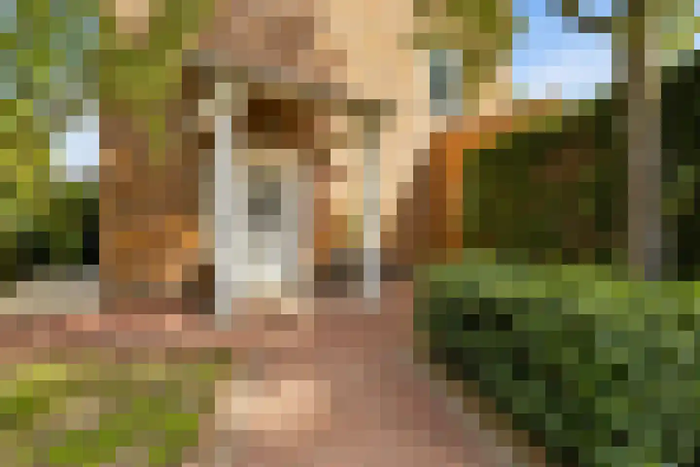 Maria van Bourgondiësingel 4 's-Hertogenbosch thumbnail 36