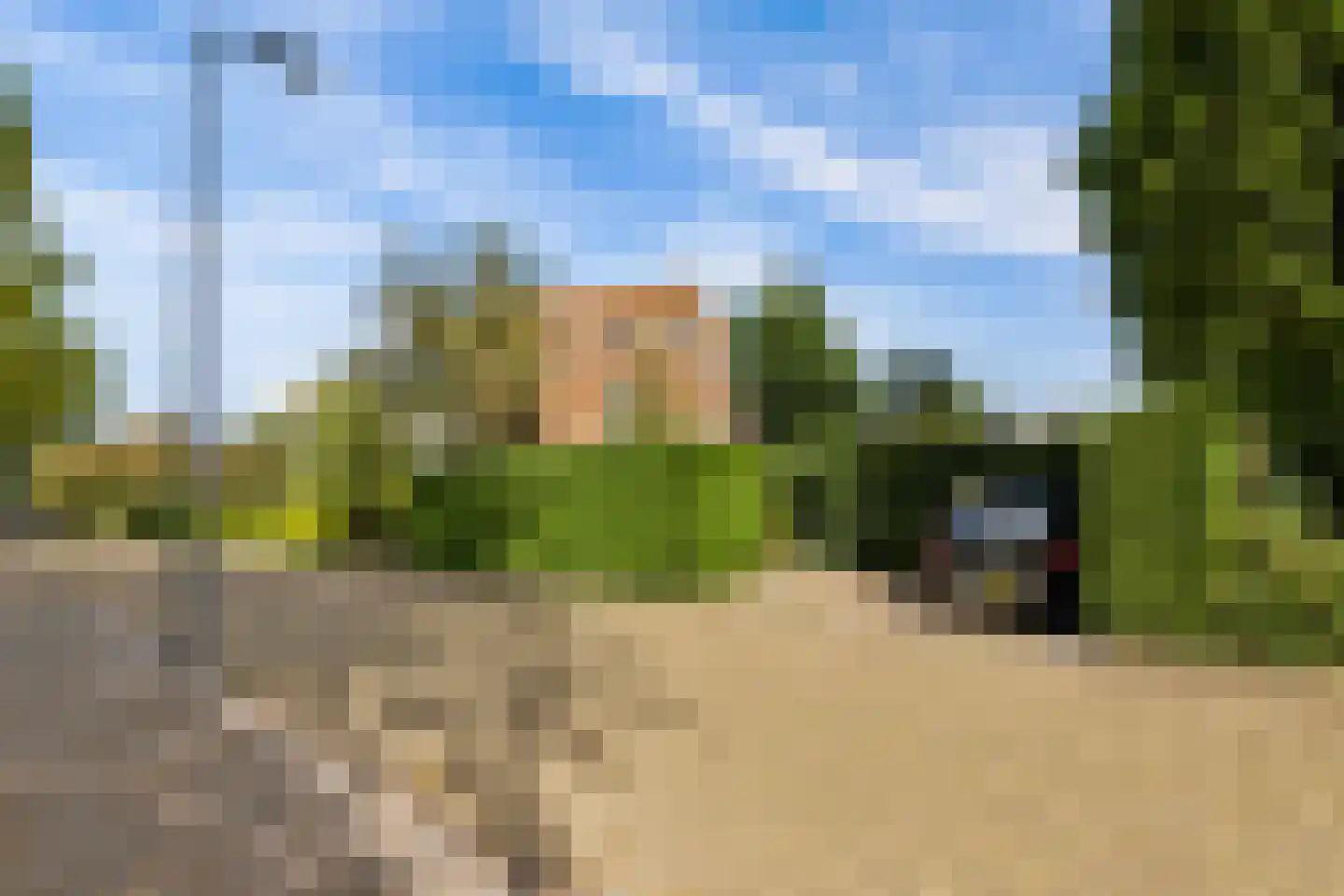 Maria van Bourgondiësingel 4 's-Hertogenbosch thumbnail 40