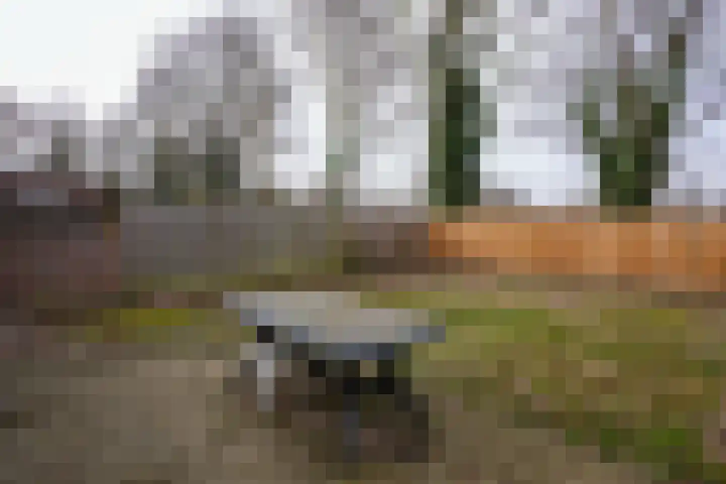 Maria van Bourgondiëstraat 20 Sittard thumbnail 23