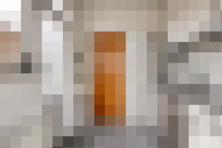 Maria van Bourgondiëstraat 21 Oss thumbnail 16