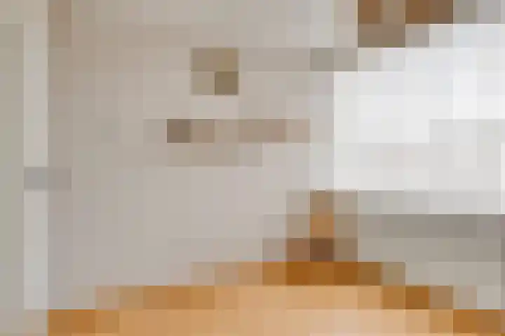 Maria van Bourgondiëstraat 21 Oss thumbnail 25