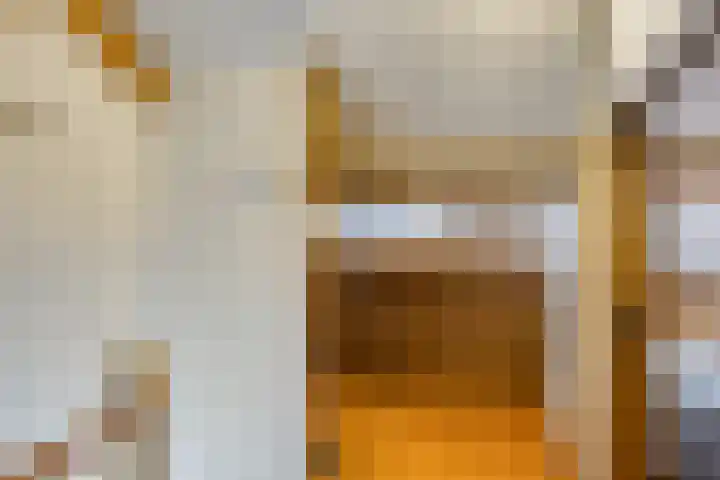 Maria van Bourgondiëstraat 21 Oss thumbnail 27