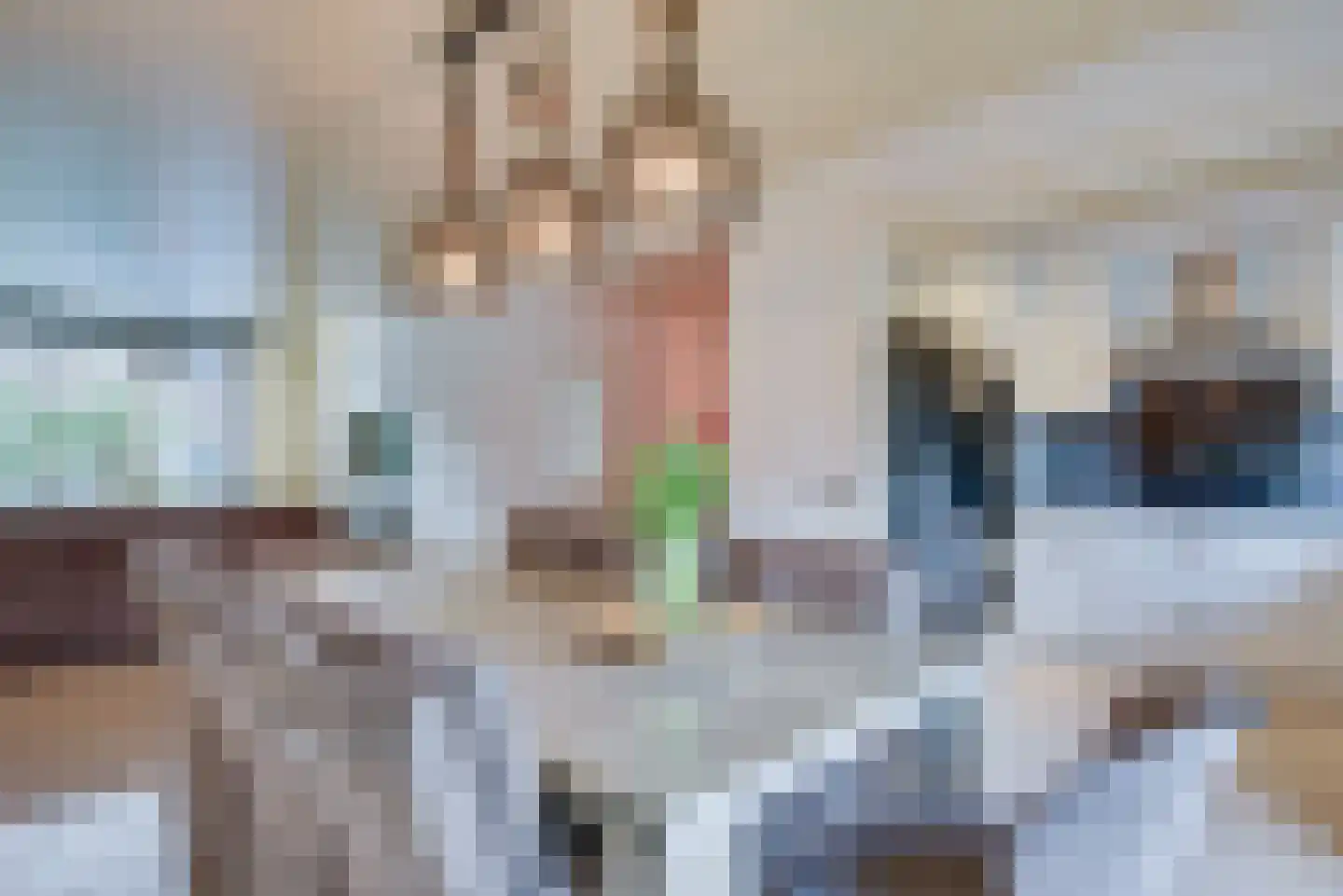 Maria van Bourgondiëstraat 3 Oss thumbnail 18