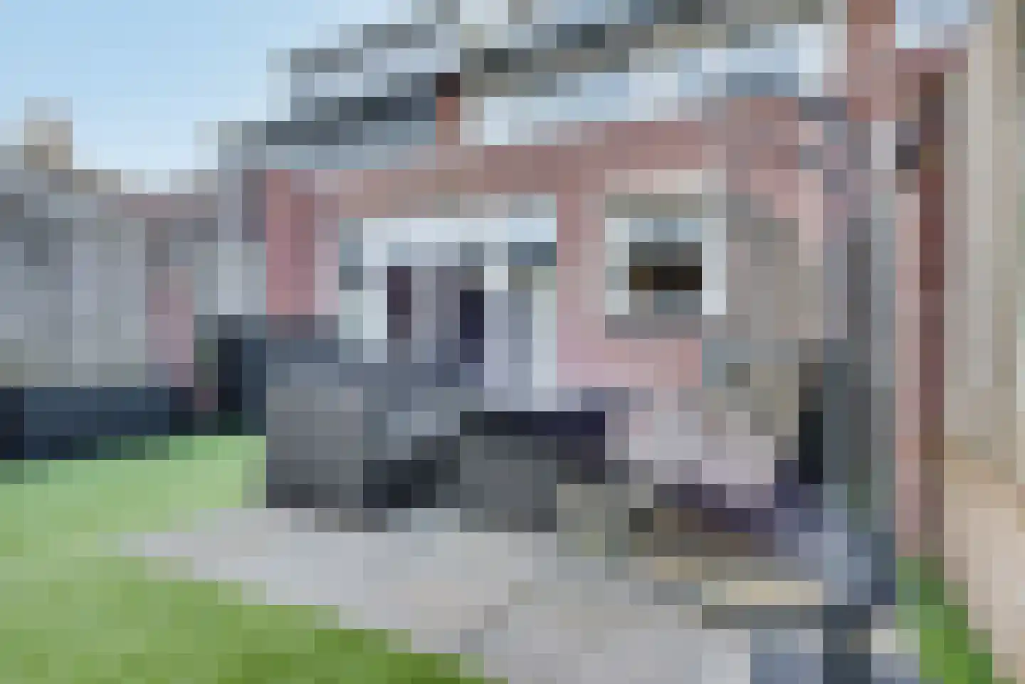 Maria van Bourgondiëstraat 3 Oss thumbnail 33