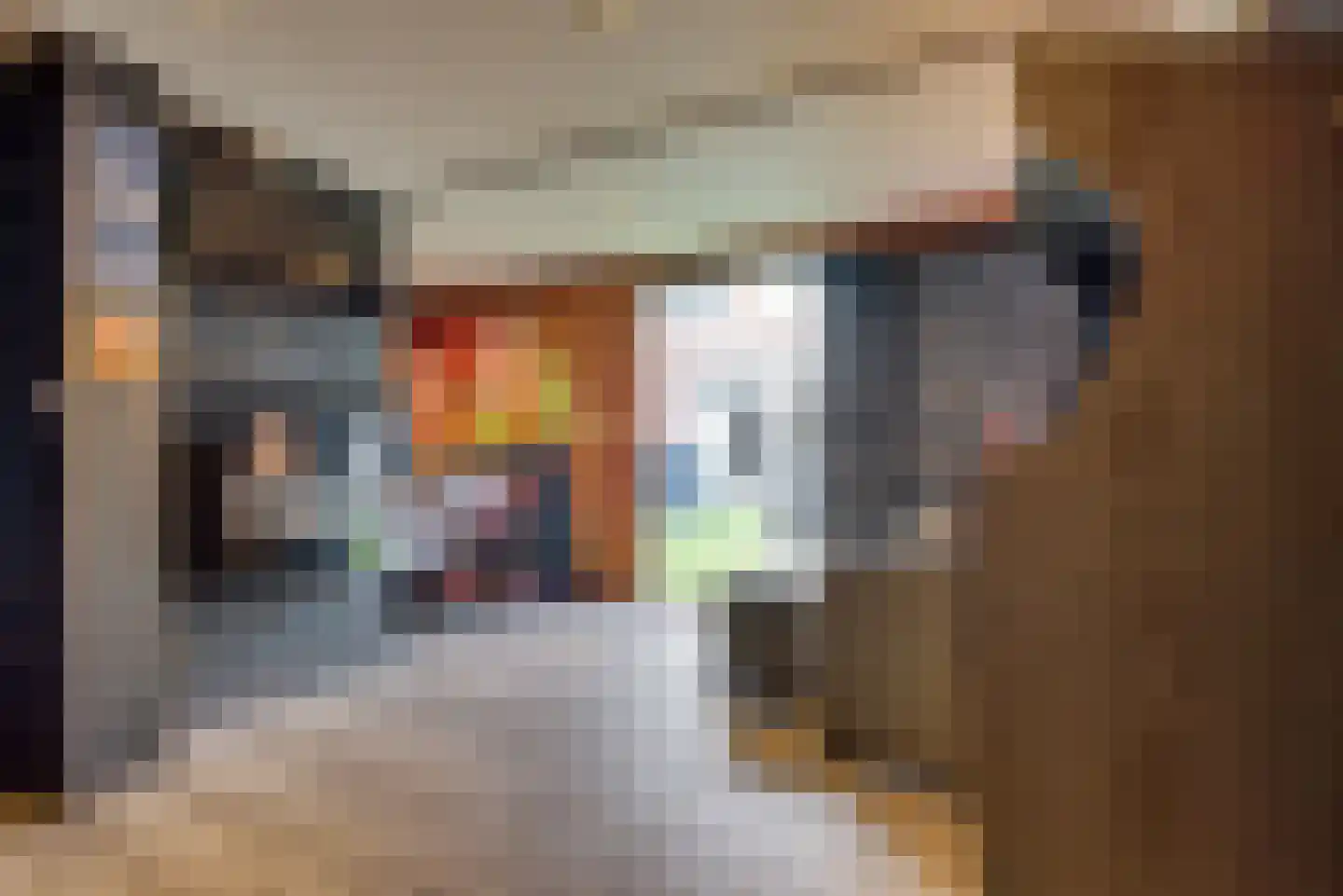 Maria van Bourgondiëstraat 3 Oss thumbnail 35