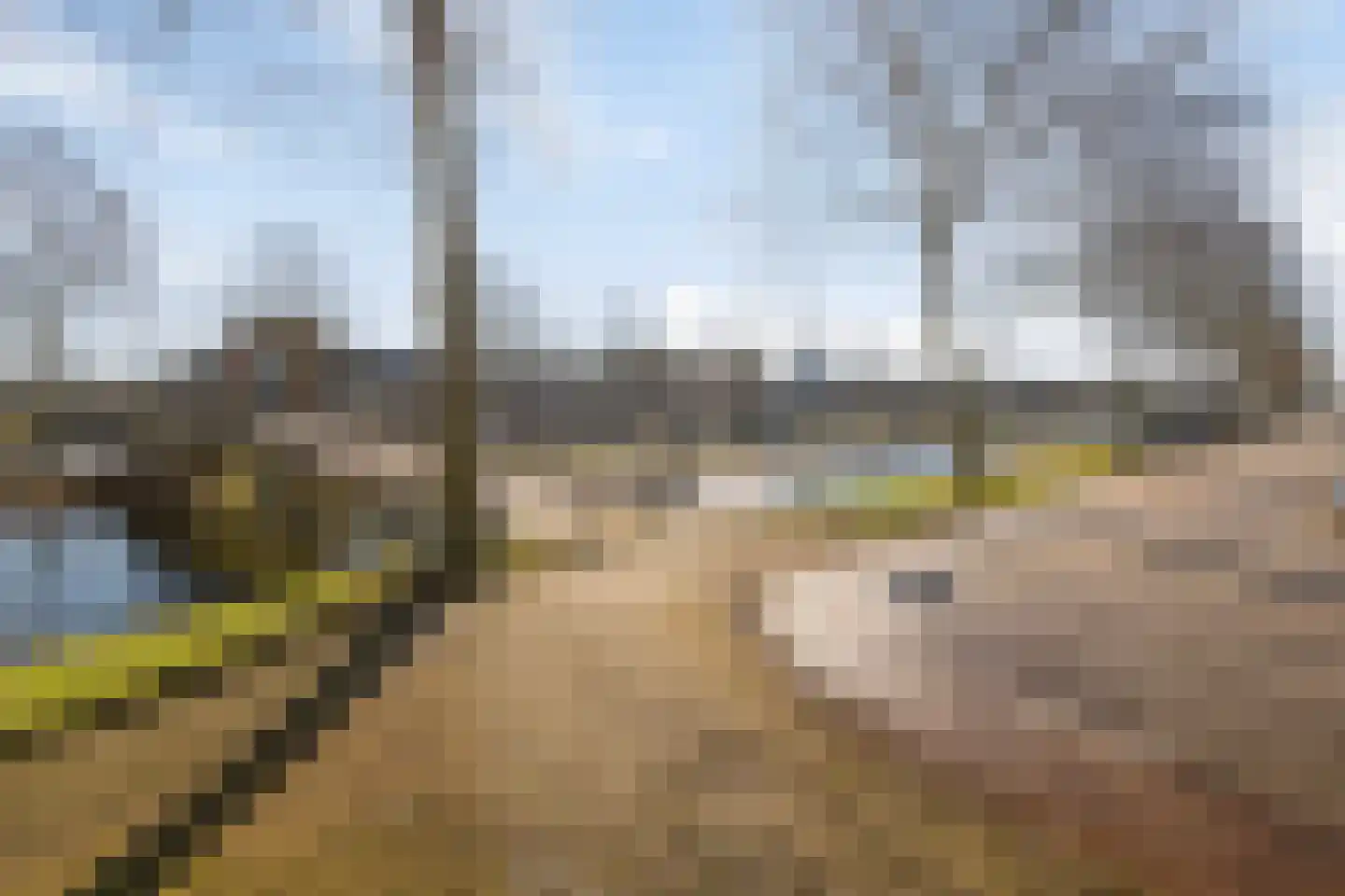 Maria van der Duinstraat 10 Poortugaal thumbnail 51