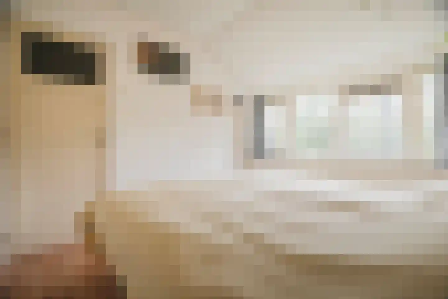 Maria van Gelrestraat 19 Arnhem thumbnail 23