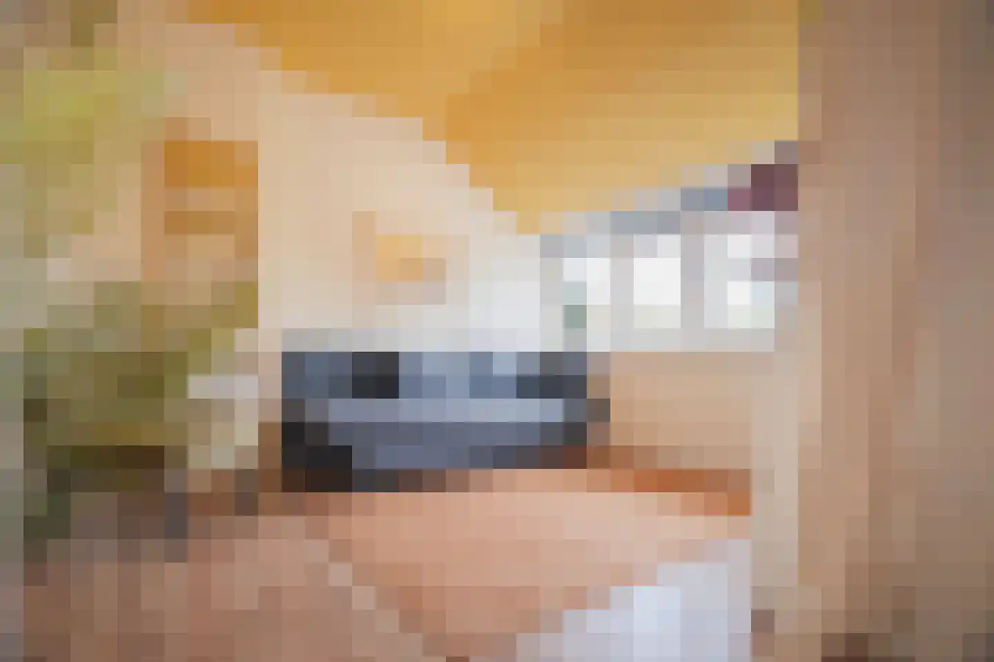 Maria van Gelrestraat 19 Arnhem thumbnail 33