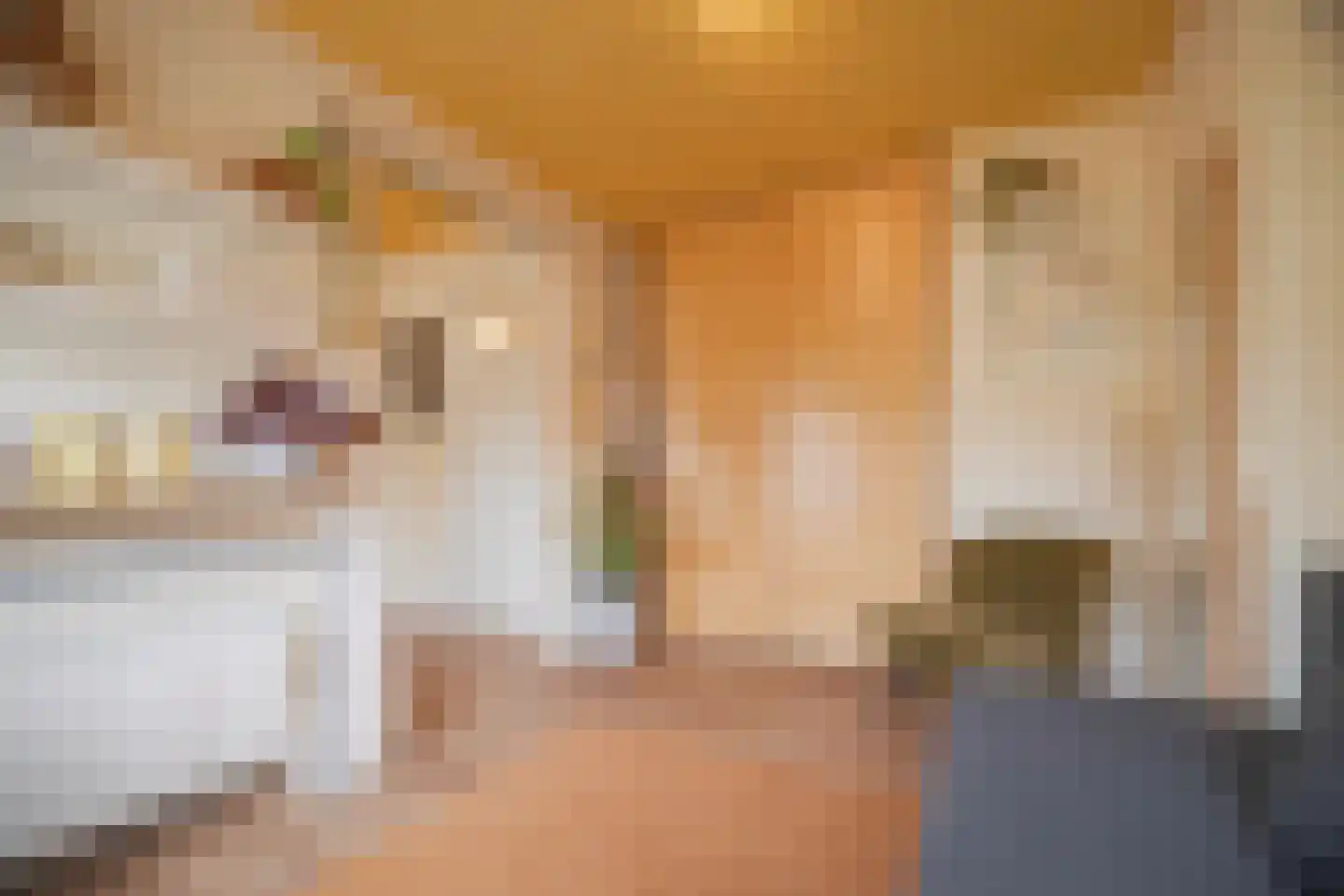 Maria van Gelrestraat 19 Arnhem thumbnail 35