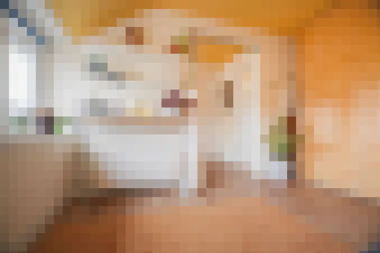 Maria van Gelrestraat 19 Arnhem thumbnail 36