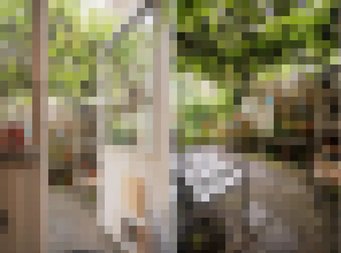 Maria van Gelrestraat 19 Arnhem thumbnail 38