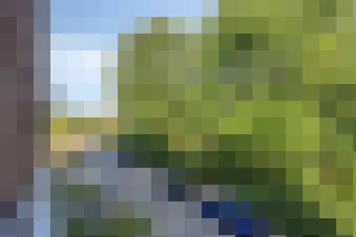 Maria van Nassaulaan 22 's-Heerenberg thumbnail 13