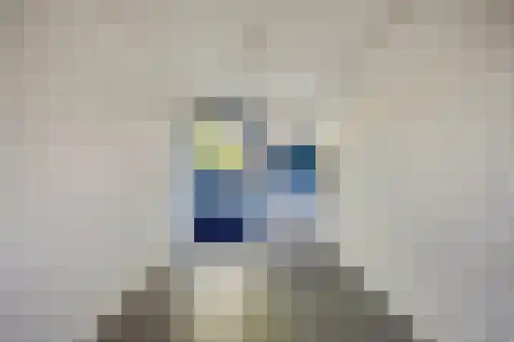 Maria van Nassaulaan 22 's-Heerenberg thumbnail 4