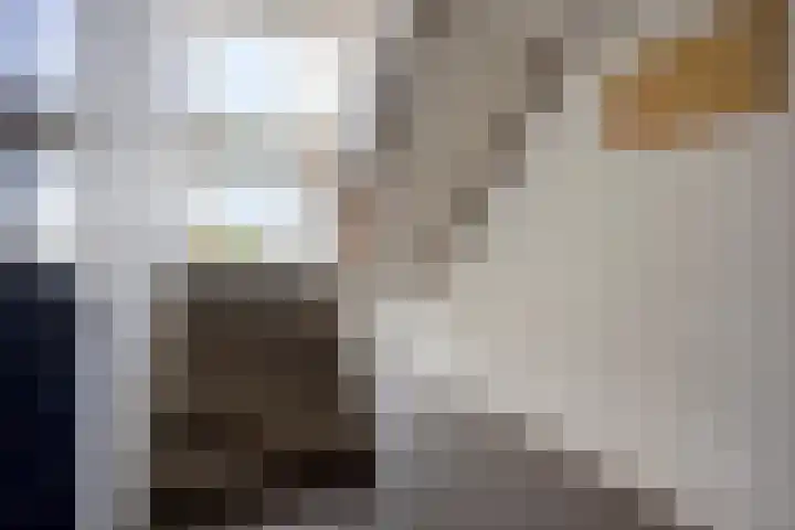 Maria van Nassaulaan 22 's-Heerenberg thumbnail 6