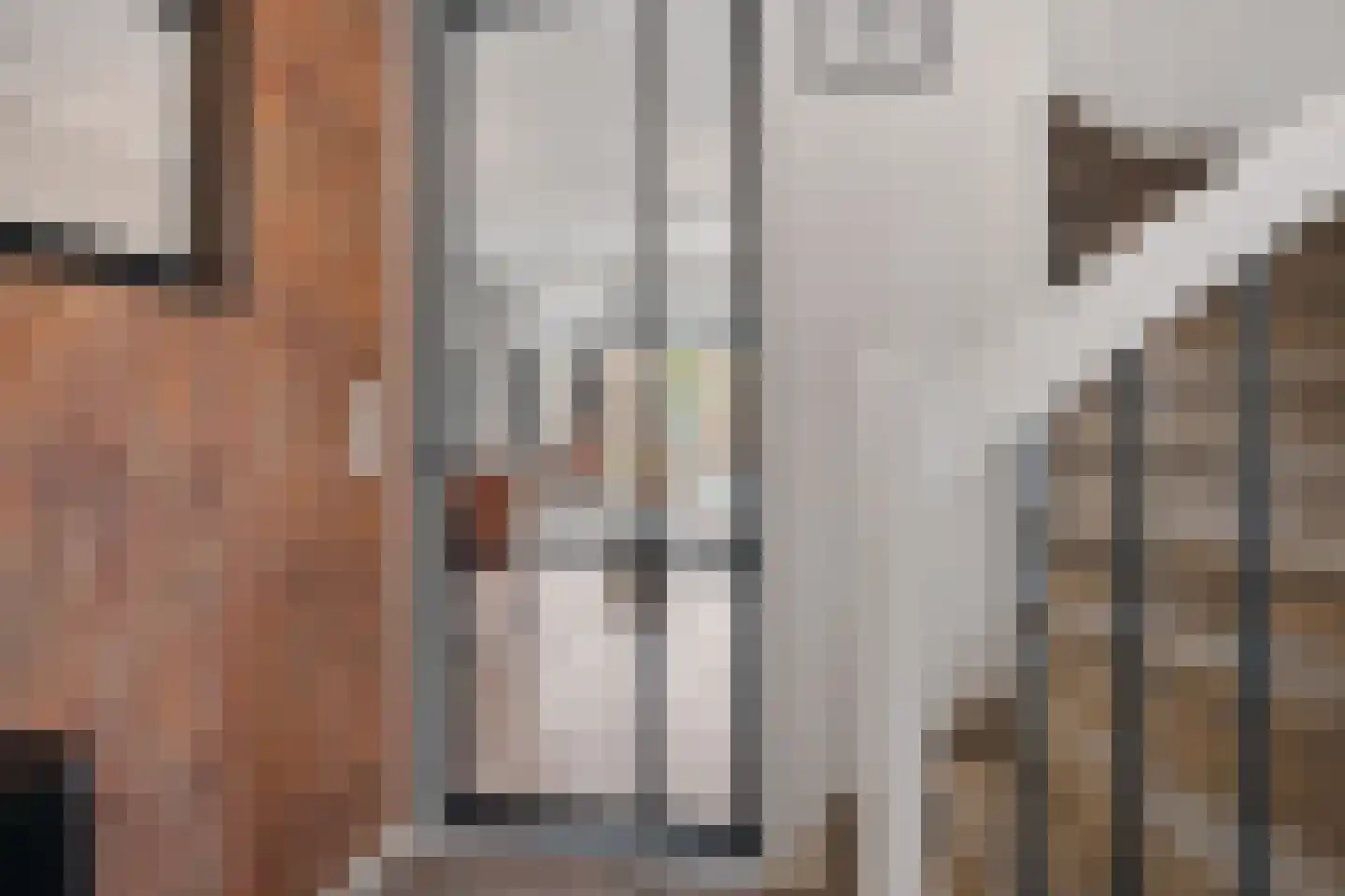 Maria van Oosterwijckstraat 1 Zoetermeer thumbnail 12