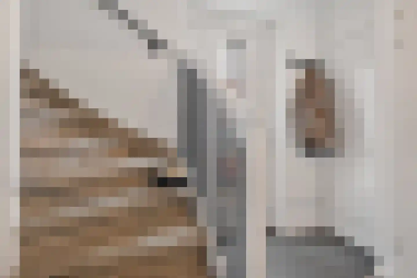 Maria van Oosterwijckstraat 1 Zoetermeer thumbnail 13