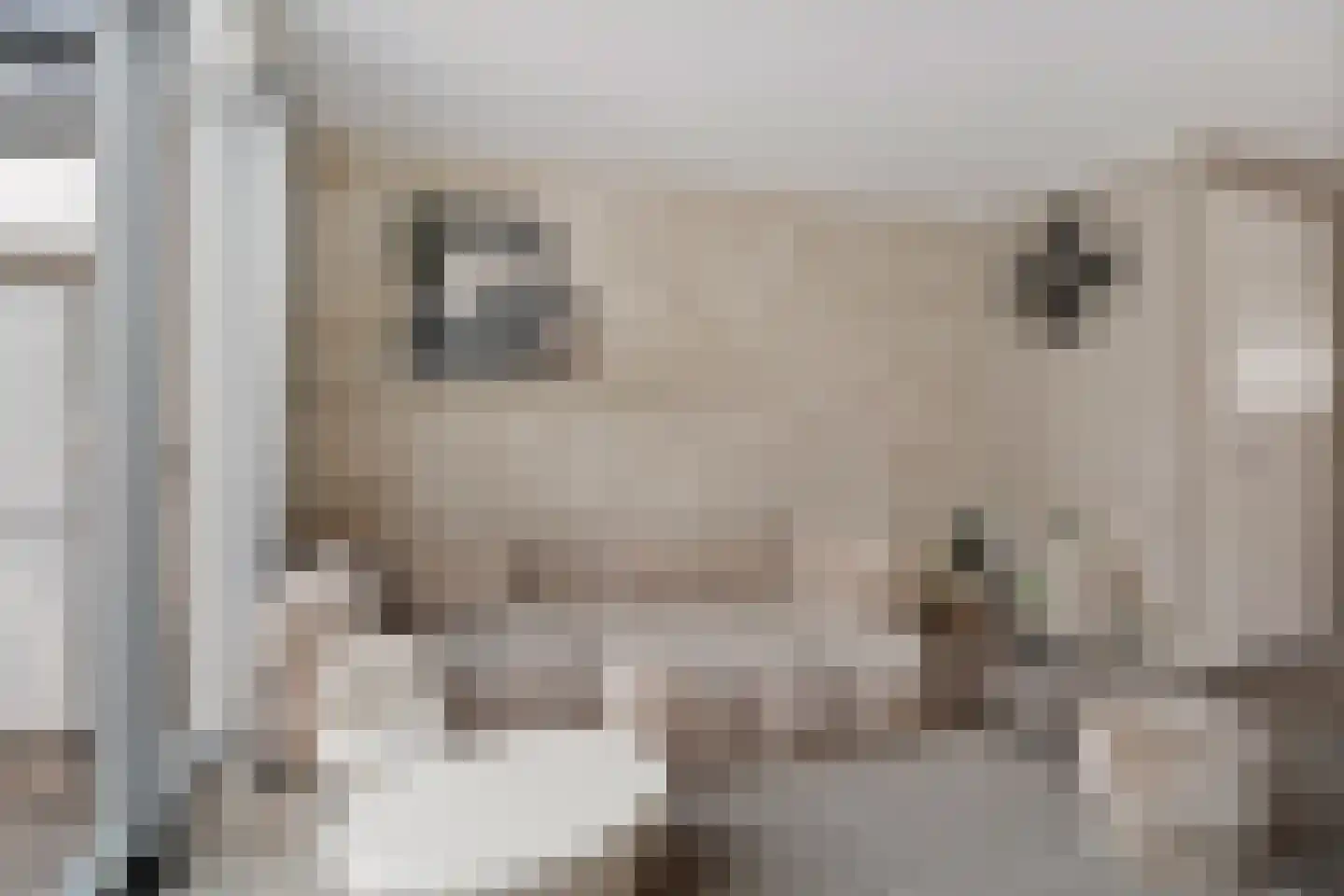 Maria van Oosterwijckstraat 1 Zoetermeer thumbnail 17